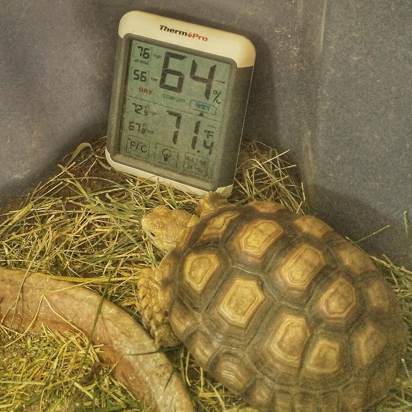 Температура