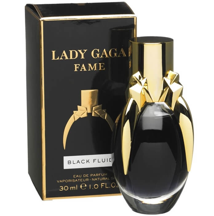 Lady Gaga Fame