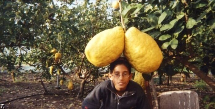 limon