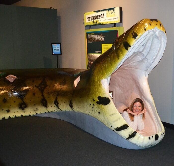 Titanoboa