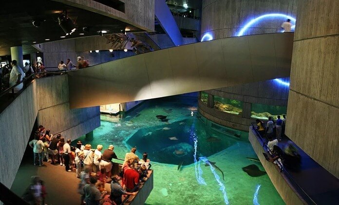 National Aquarium, США