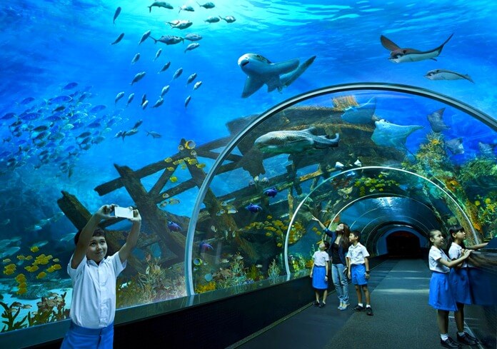 Marine Life Park