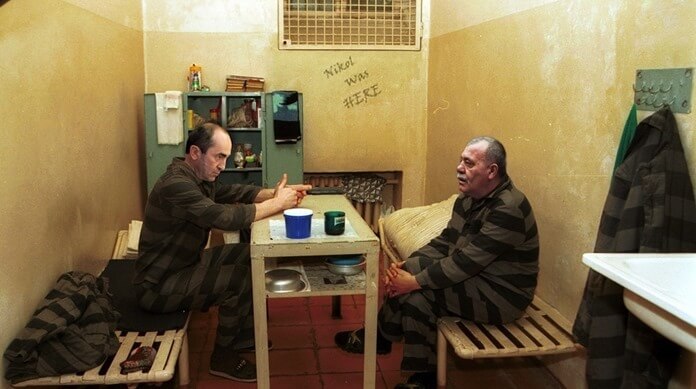 Полярная сова