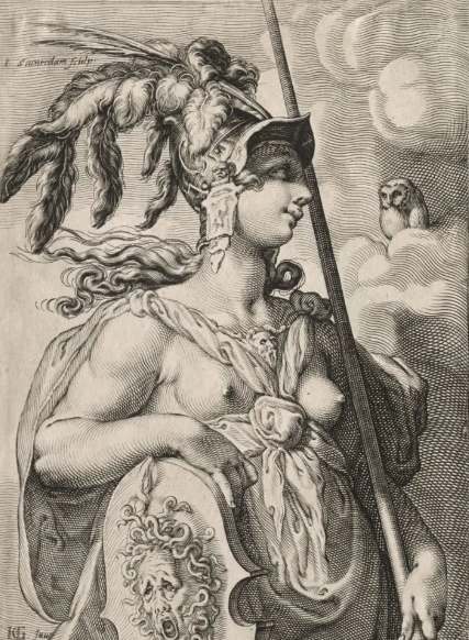 Совы