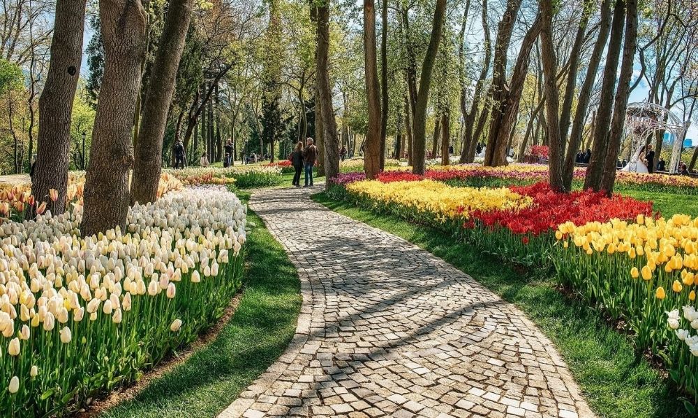 Лучшие районы Стамбула