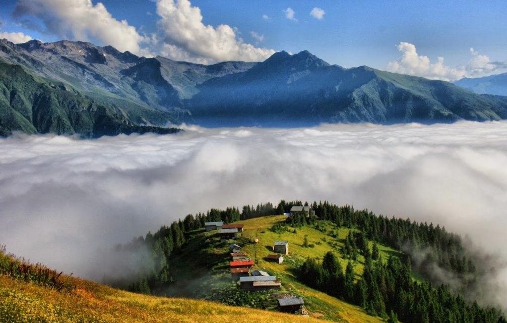 Черноморские плато