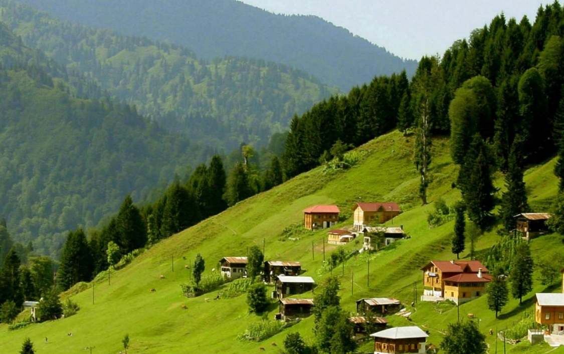 Черноморские плато