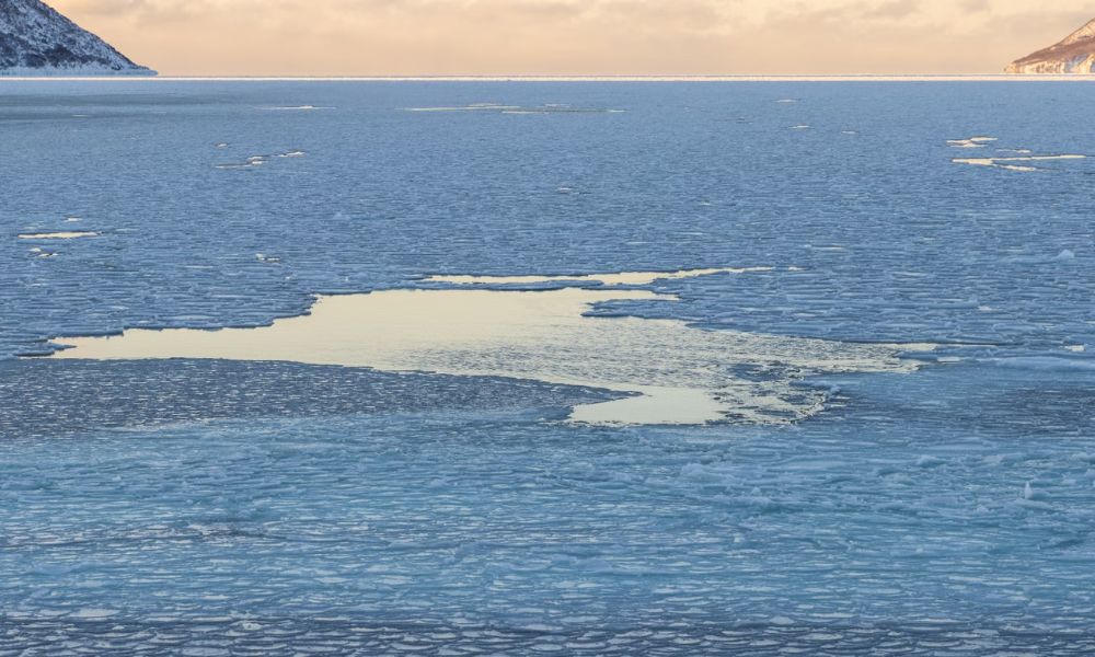 Гигантская полынья в море Уэдделла — свободная ото льда область площадью 77 699 км²