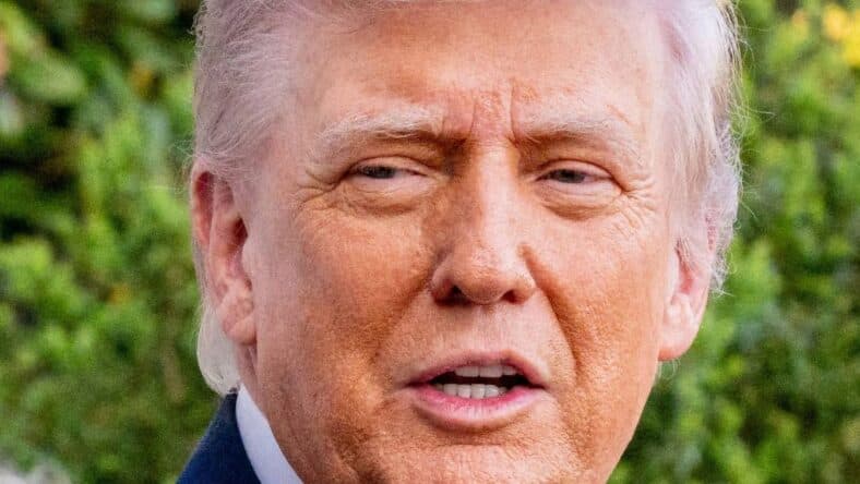 Конфликт между Дональдом Трампом и Мелони по поводу фотографий с саммита G7 обостряется.