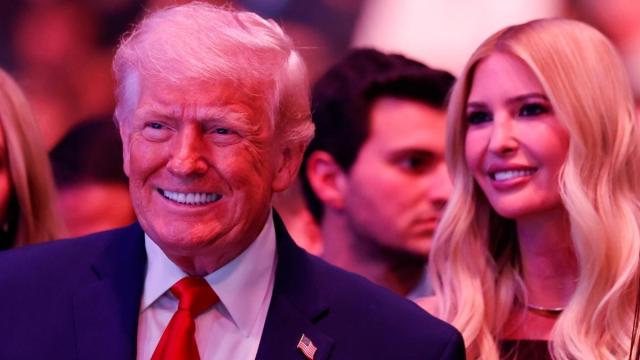 Проект дочери Дональда Трампа по созданию частного острова вызвал насмешки в программе The Daily Show.