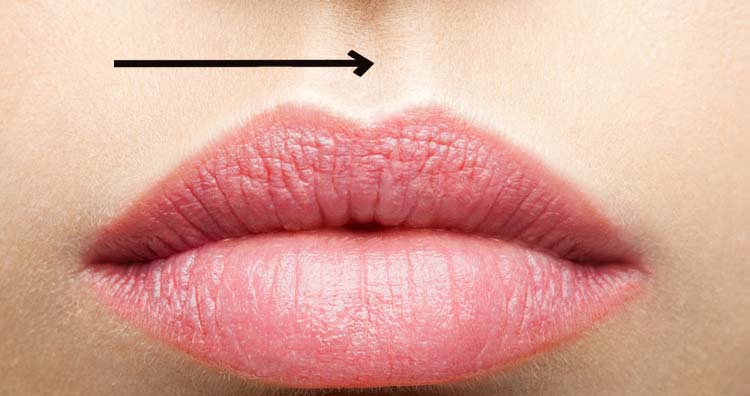 Philtrum