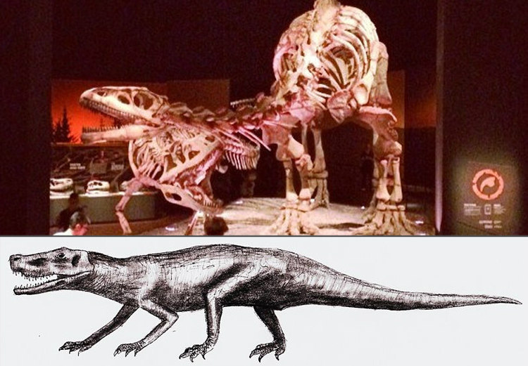 Fasolasuchus Fasolasuchus