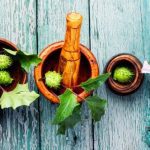 10 sustancias psicotrópicas utilizadas hace siglos