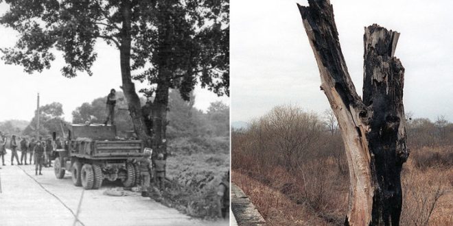 10 des meilleurs exemples historiques de choses qui " s'aggravent rapidement "