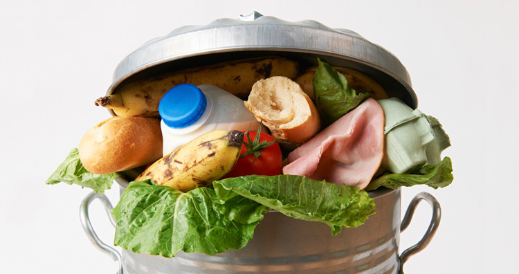 Desperdício de alimentos Desperdício de alimentos