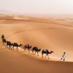 Dez fatos absolutamente insanos sobre o Deserto do Saara