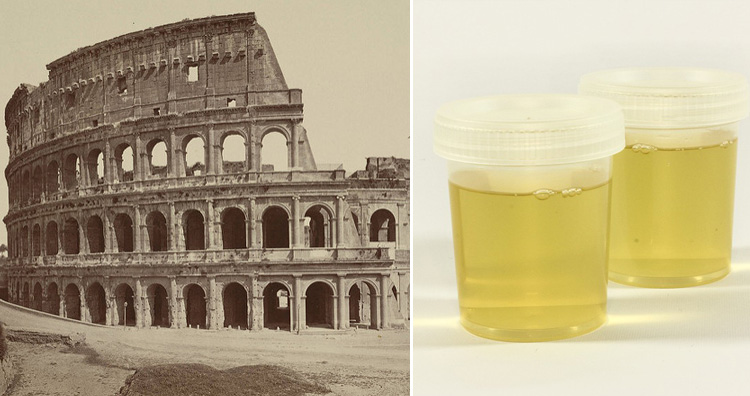 Urine as bleach Urine as a bleach
